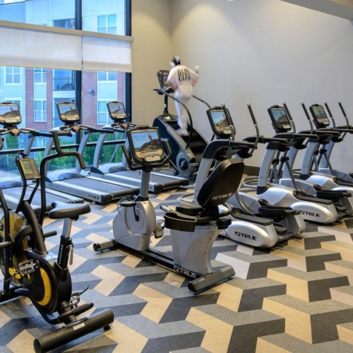 cardio machines in gym